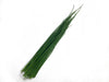 CHIVE (1bunch, 4oz)