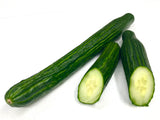 KYURI - Seed Less Cucumber